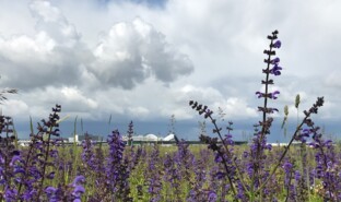 Aéroport de Lyon, pistes, France