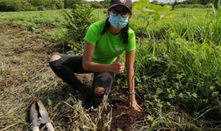 Reforestation, Aéroport du Costa Rica