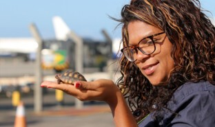 Protection de la biodiversité, aéroport Salvador de Bahia, Brésil