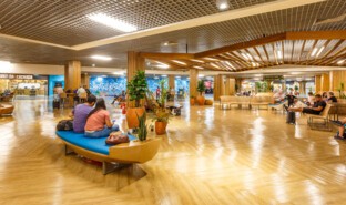 Salvador Bahia Airport, Brazil .jpg