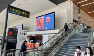 In world first, VINCI Airports, World of Women, and Code Green bring digital artworks to airports across the globe on international women’s day