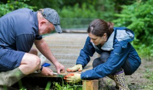 Sustainability - London Gatwick Airport achieved the Wildlife Trust's Biodiversity Benchmark Award for eighth consecutive year in 2021.jpg