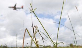 Gatwick Environment Green Space 2009 (2).jpg