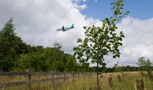 Gatwick Environment Green Space 2009 (14).jpg