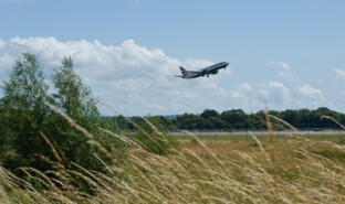 Gatwick Environment Green Space 2009 (73).jpg