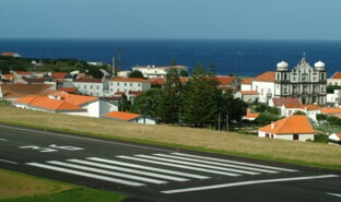 flores06_0332.jpg