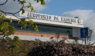 8madeira1_2.jpg
