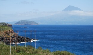 Horta