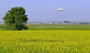 Champs de colza survolé par avion d'Air France-min.JPG