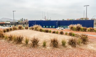 Jardines Werófilos