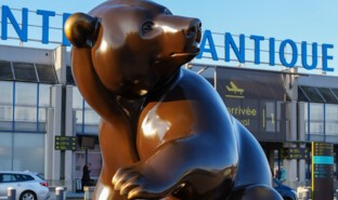 ours_Bassompierre©Nick_Resmann_aéroport_Nantes_Atlantique-2.jpg