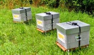 Protection of biodiversity_4.jpg