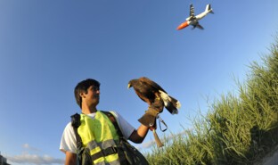 Protection of biodiversity