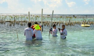 Protection of biodiversity_3.JPG