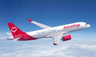 Animawings-plane.jpg