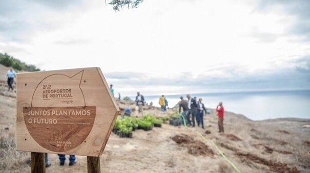 VINCI Airports poursuit son programme de reforestation avec de nouveaux projets au Portugal