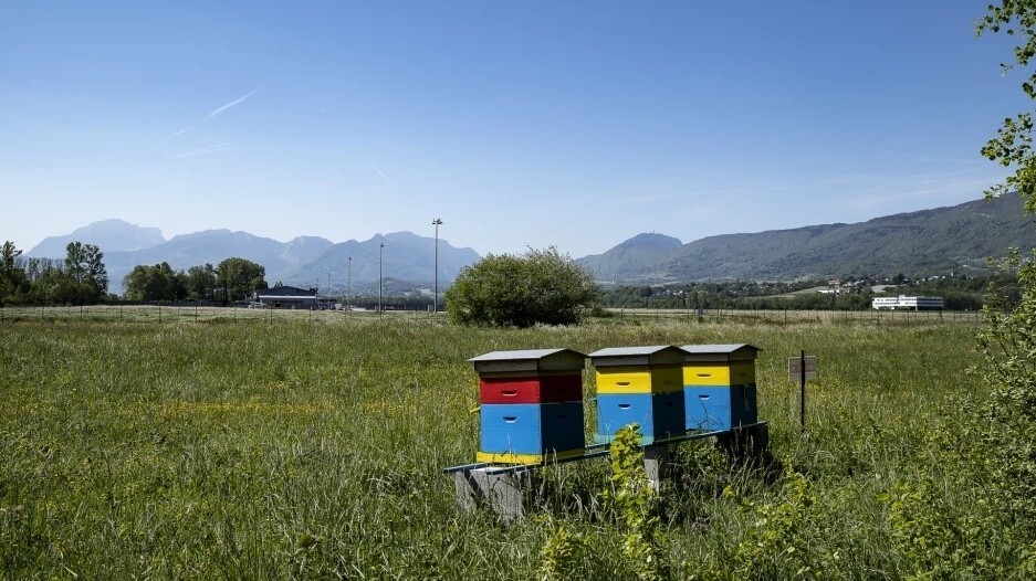 Positive mobility to preserve biodiversity