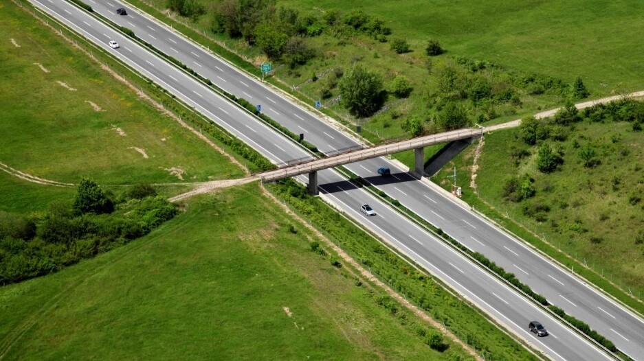 Positive mobility to preserve biodiversity