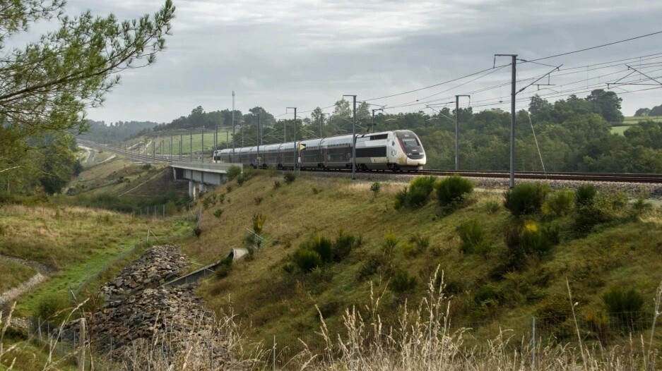 Positive mobility to preserve biodiversity