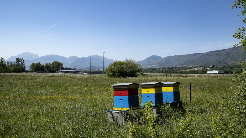 Une mobilité positive pour préserver la biodiversité