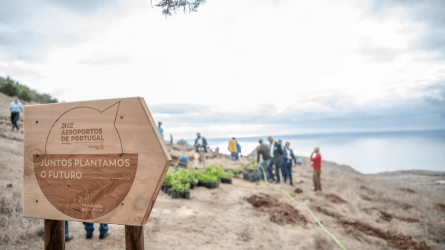 VINCI Airports continues to roll out its reforestation programme with new projects in Portugal