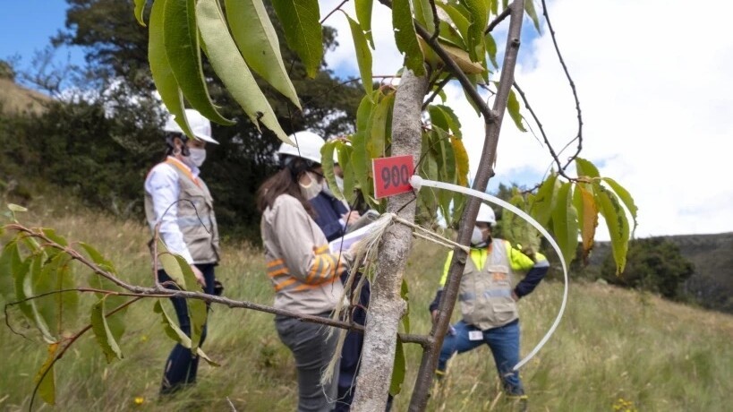 VINCI Highways s'engage dans la protection des milieux naturels à travers un vaste programme de reforestation en Colombie