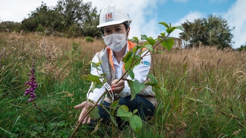 VINCI Highways s'engage dans la protection des milieux naturels à travers un vaste programme de reforestation en Colombie