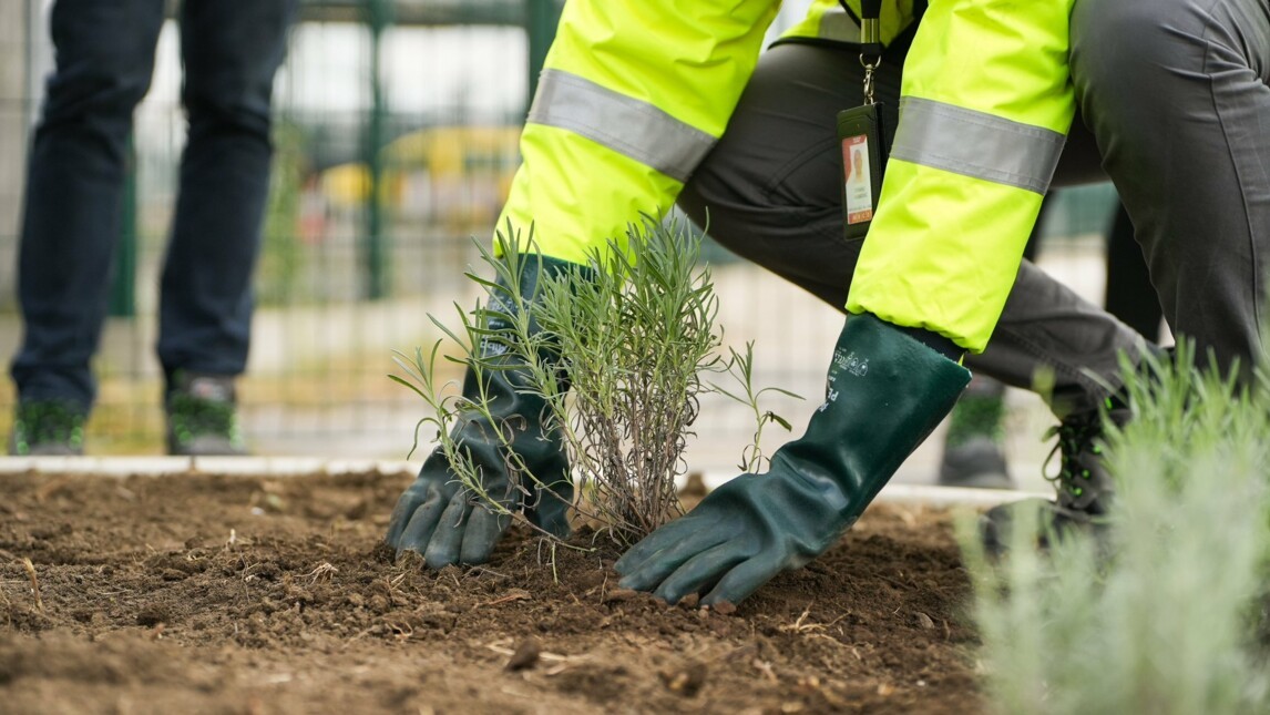VINCI Environment Day at Belgrade airport