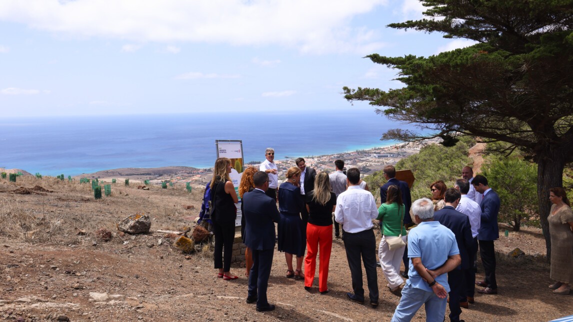 Reforestation program, Porto Santo airport, Portugal_VINCI Airports.jpg