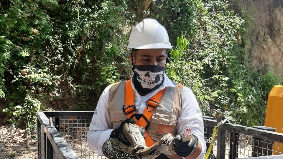 IMAGEN RESCATE 2.jpeg