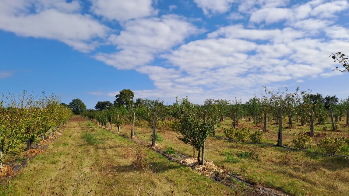 Fonds SEA pour la transition des territoires_Soutenir l’agriculture locale et durable_2023_VINCI Railways