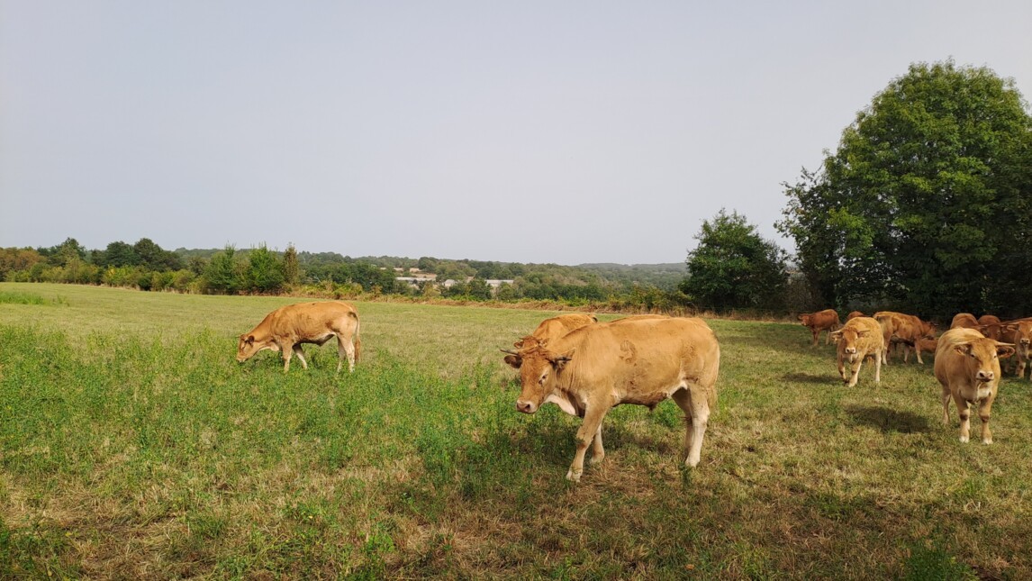 Fonds SEA pour la transition des territoires_Soutenir l’agriculture locale et durable_2023_VINCI Railways