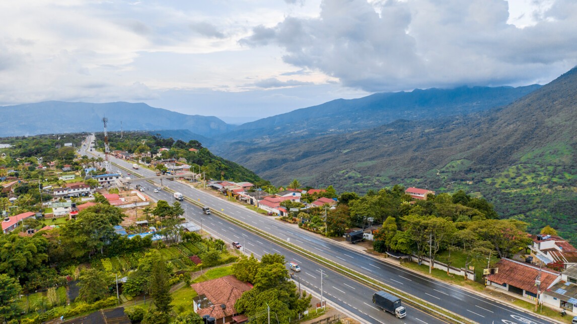 Chinauta