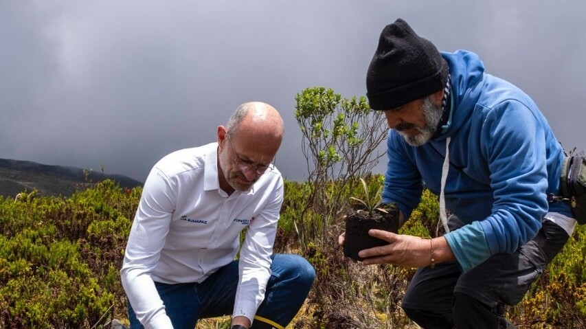 Páramo de Sumapaz