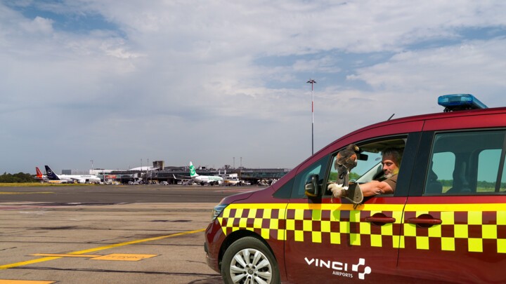 2026_Effarouchement©Aéroport_Nantes_Atlantique.jpg
