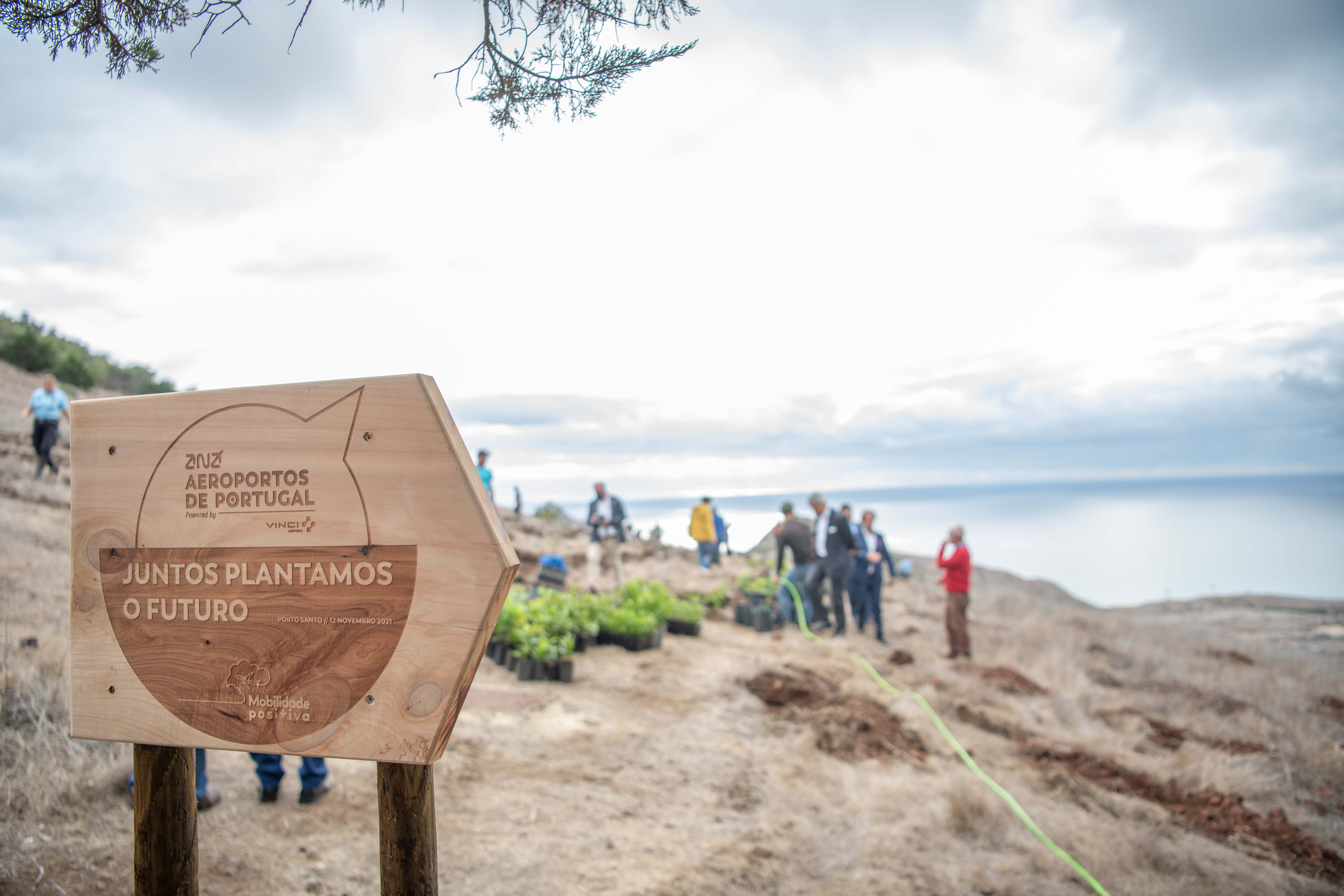 Reforestation, Porto Santo, Portugal