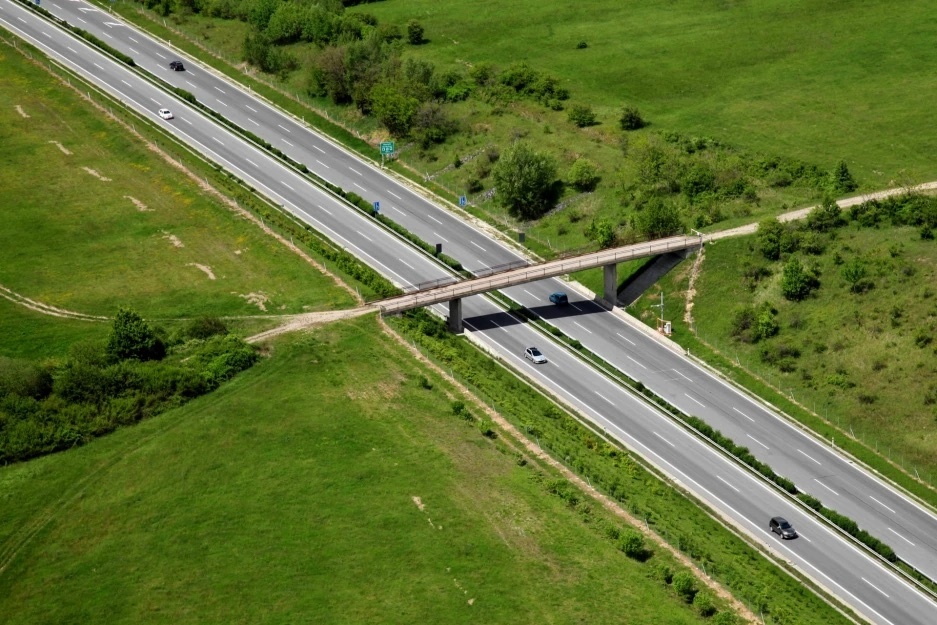 Positive mobility to preserve biodiversity