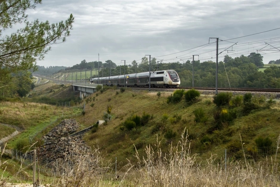 Positive mobility to preserve biodiversity