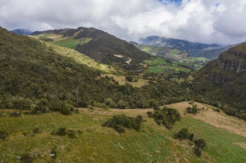 VINCI Highways s'engage dans la protection des milieux naturels à travers un vaste programme de reforestation en Colombie
