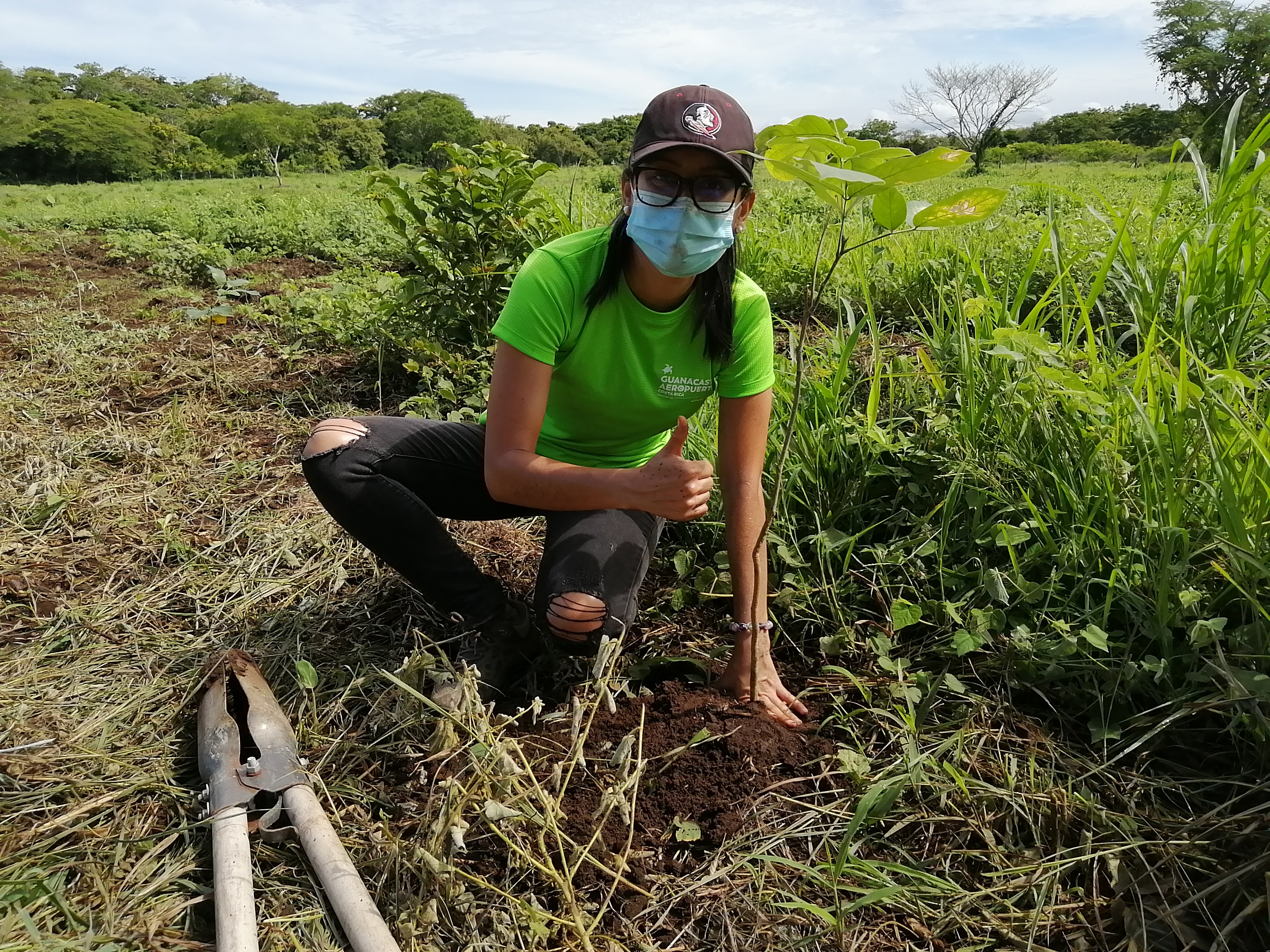 Reforestation, Aéroport du Costa Rica