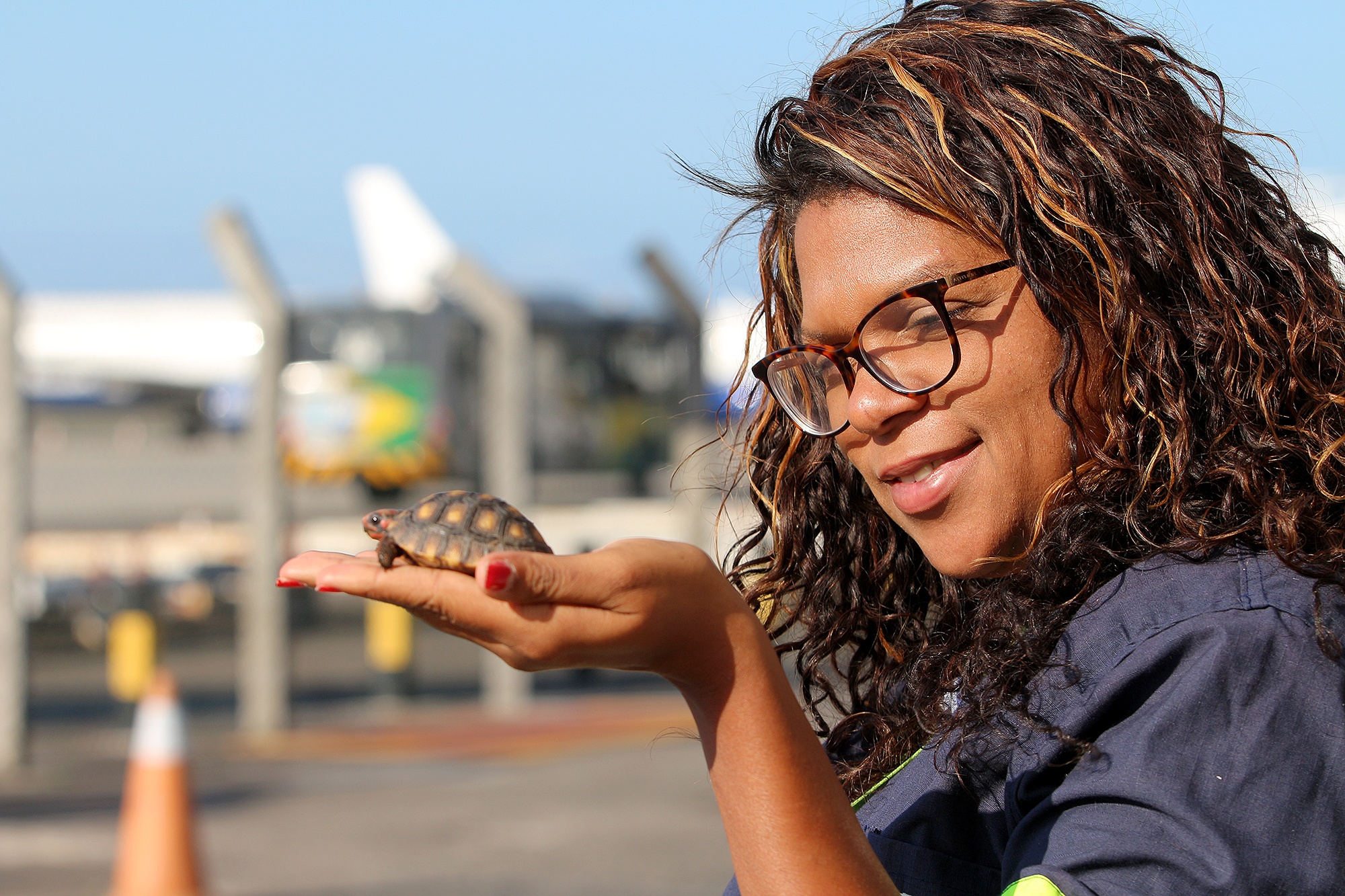 Protection of biodiversity - Brazil - Salvador Bahia