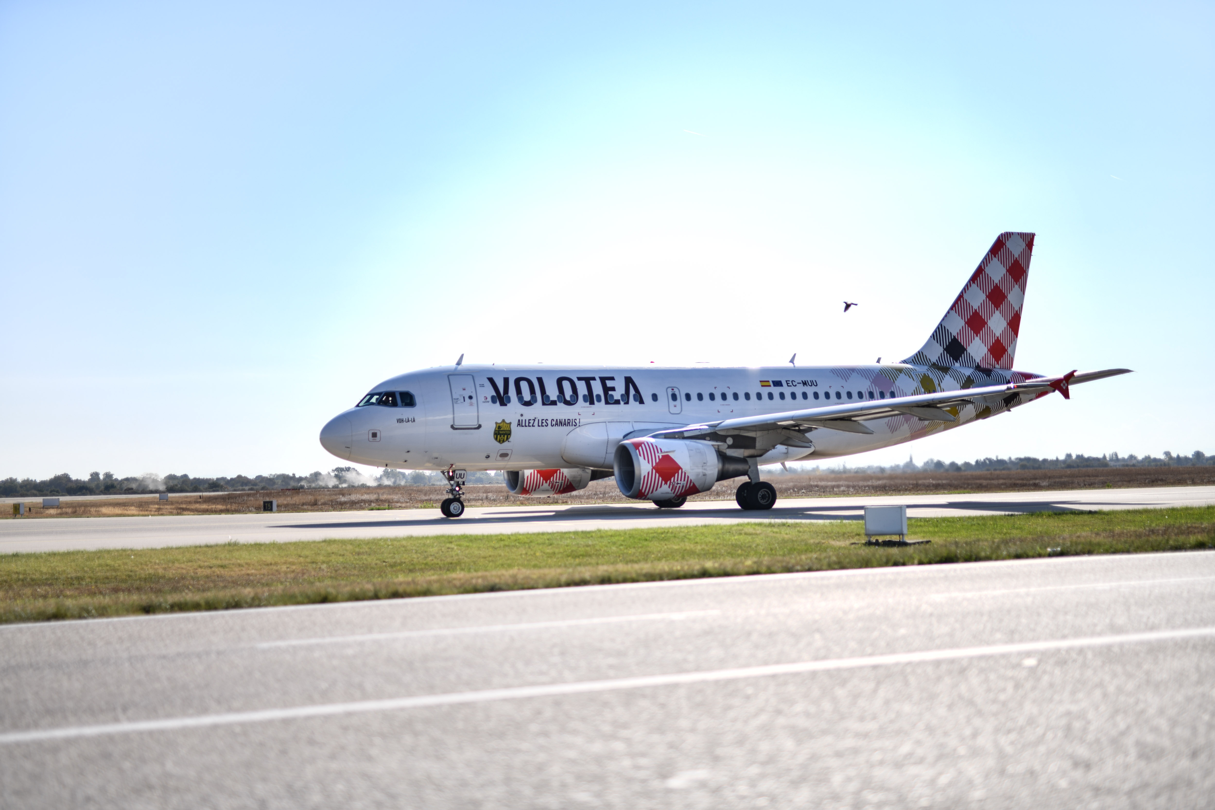 Avions Volotea et easyJet.jpg