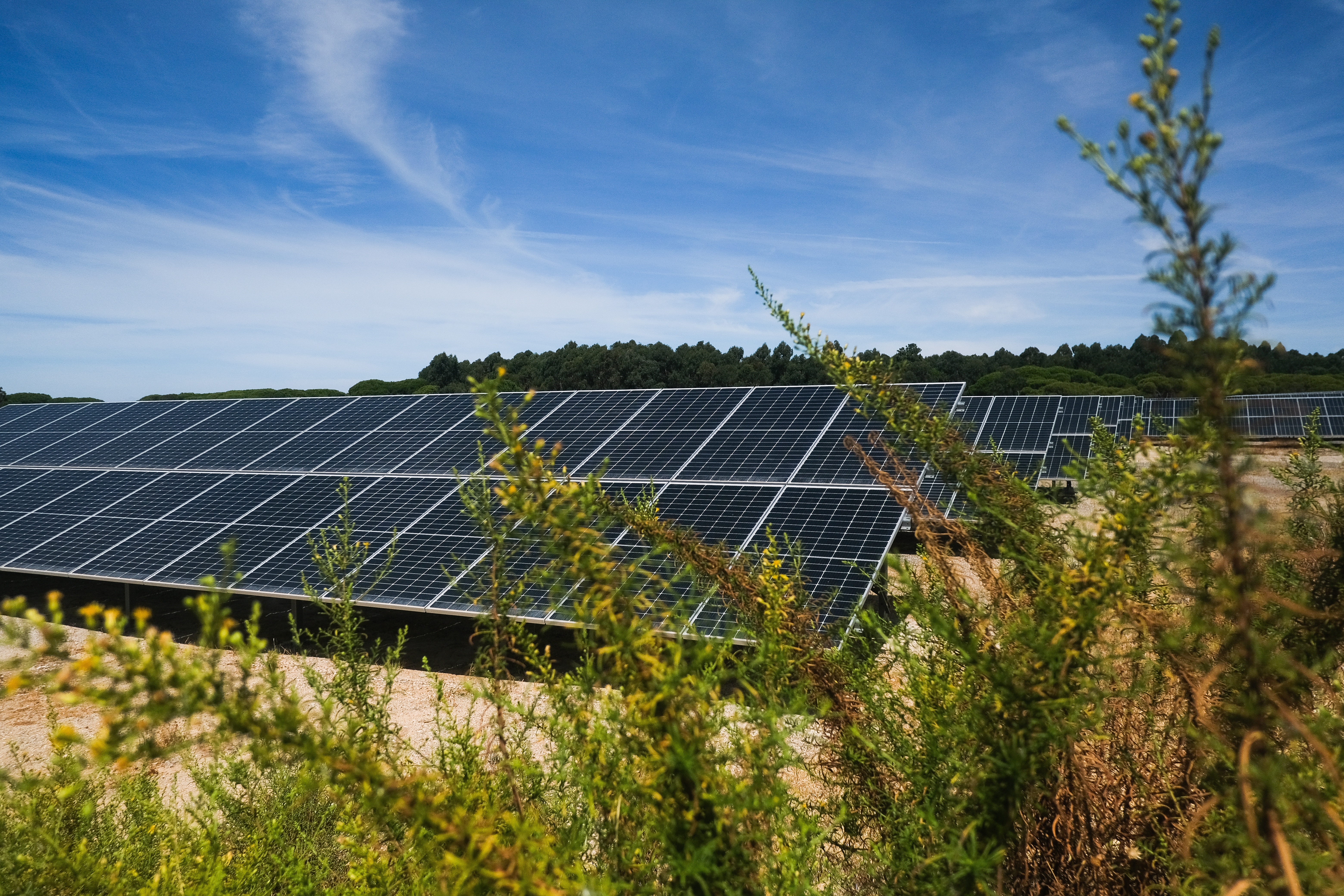 Solar ANA Portugal 4.jpg