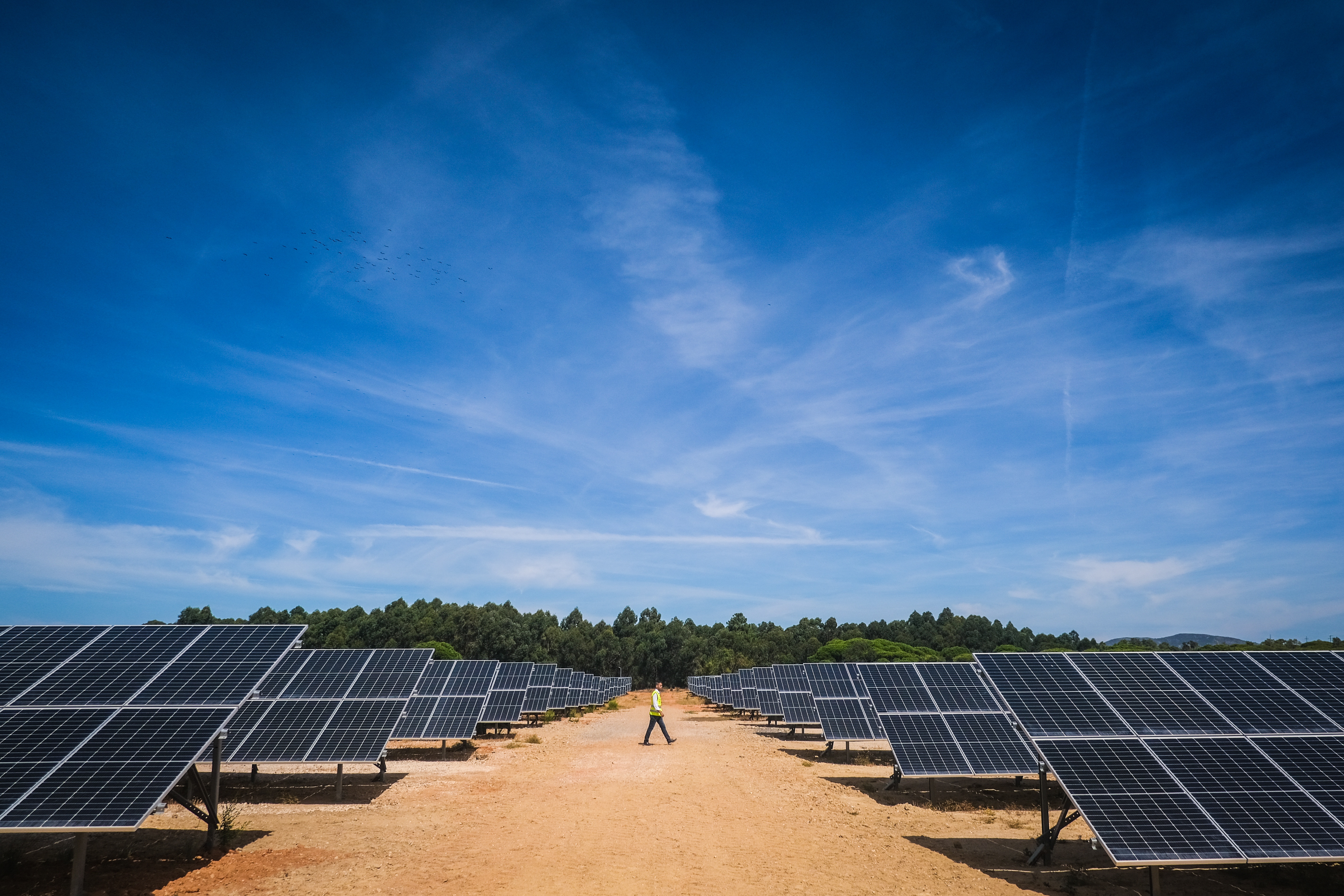 Solar farm Faro airport.jpg