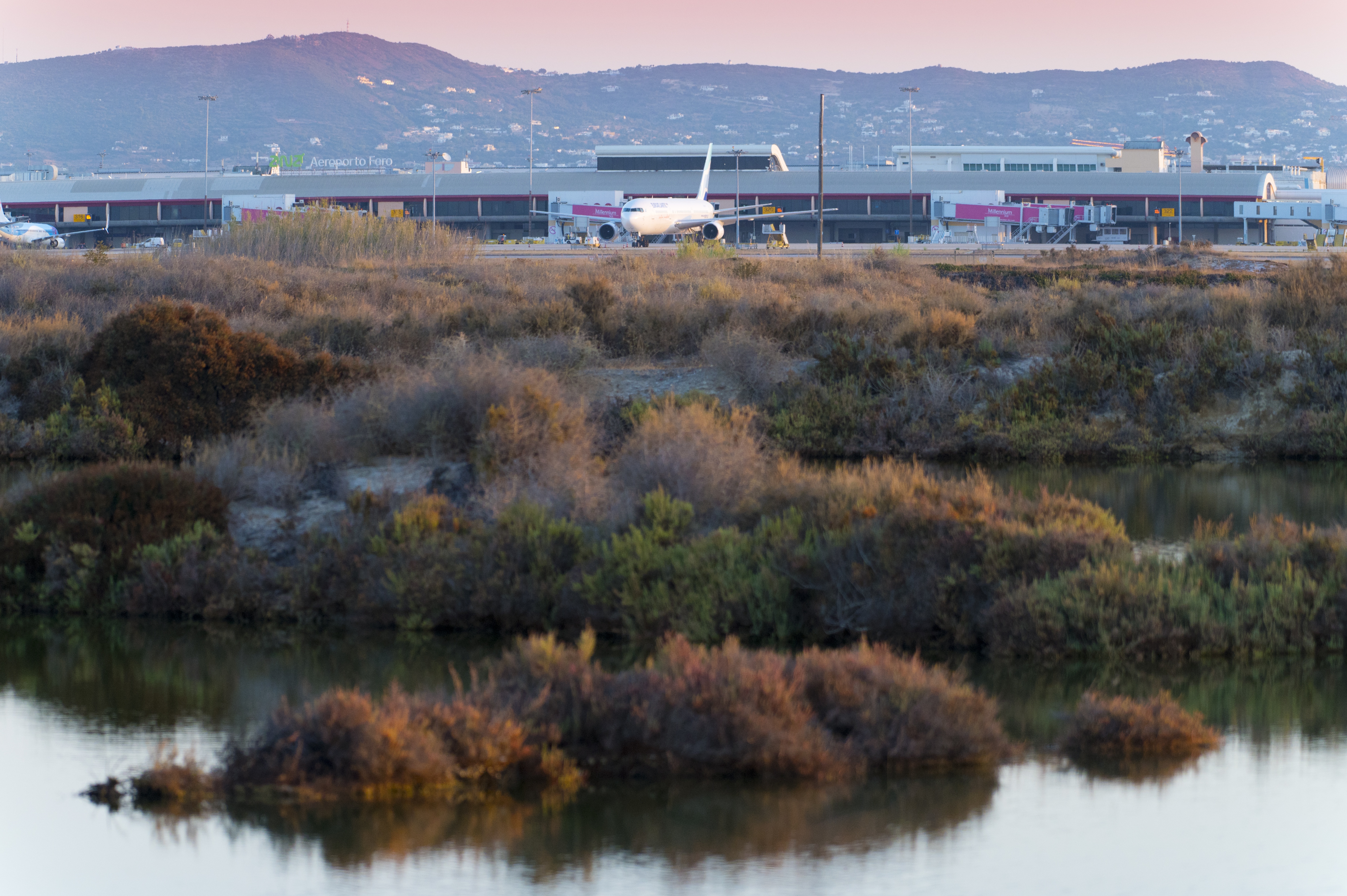 Faro airport.jpg