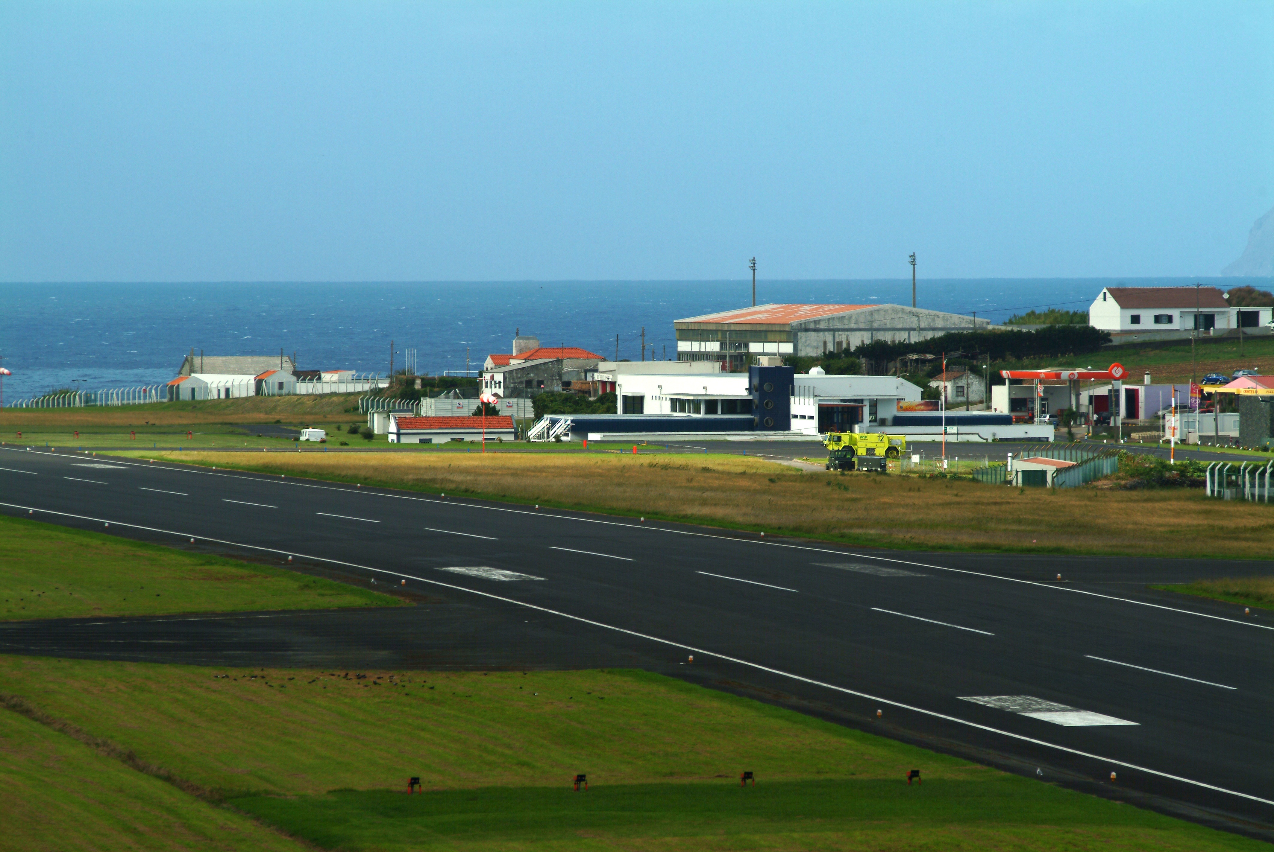 flores06_0320.jpg
