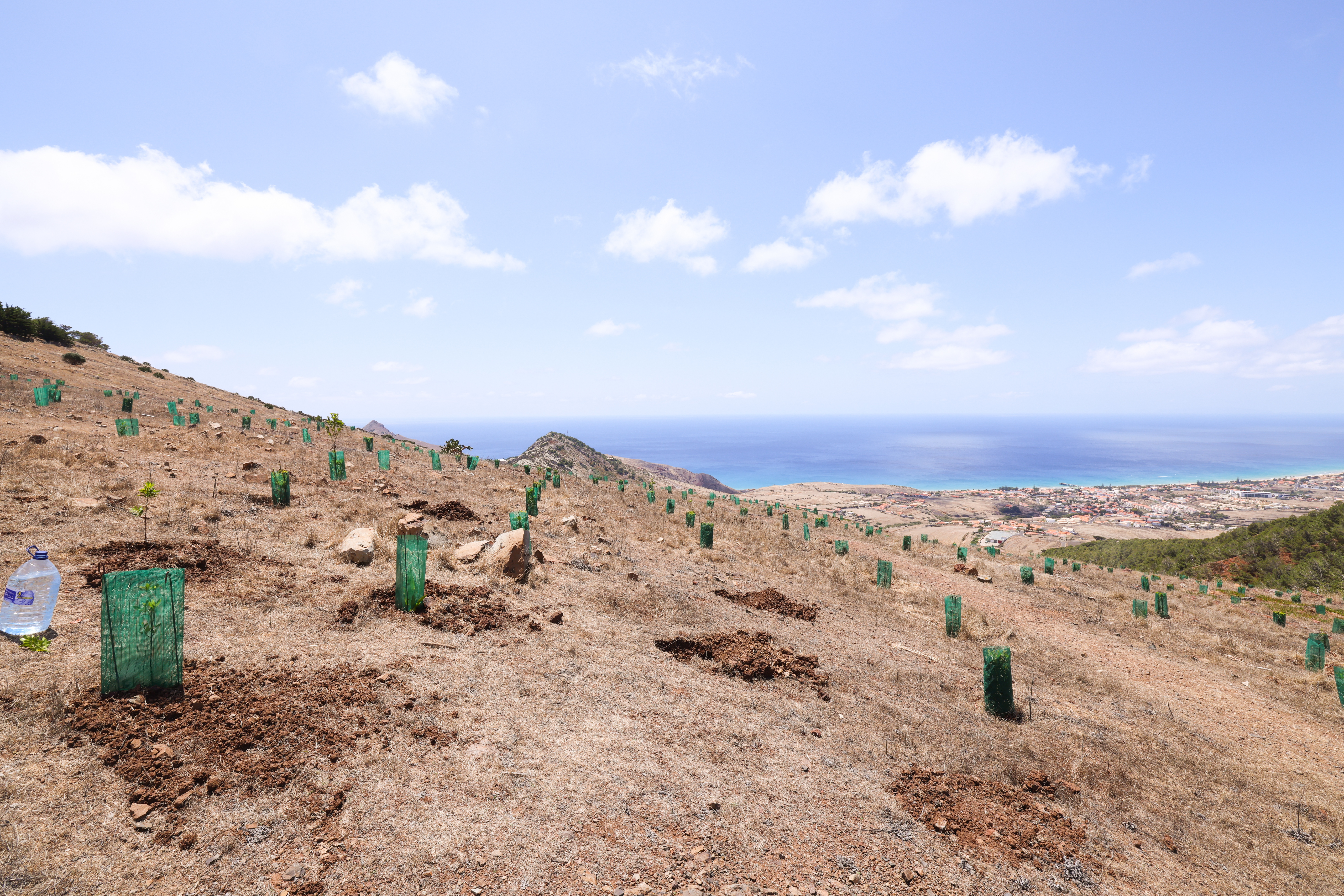 Ana Aeroportos - Evento Porto Santo.jpg