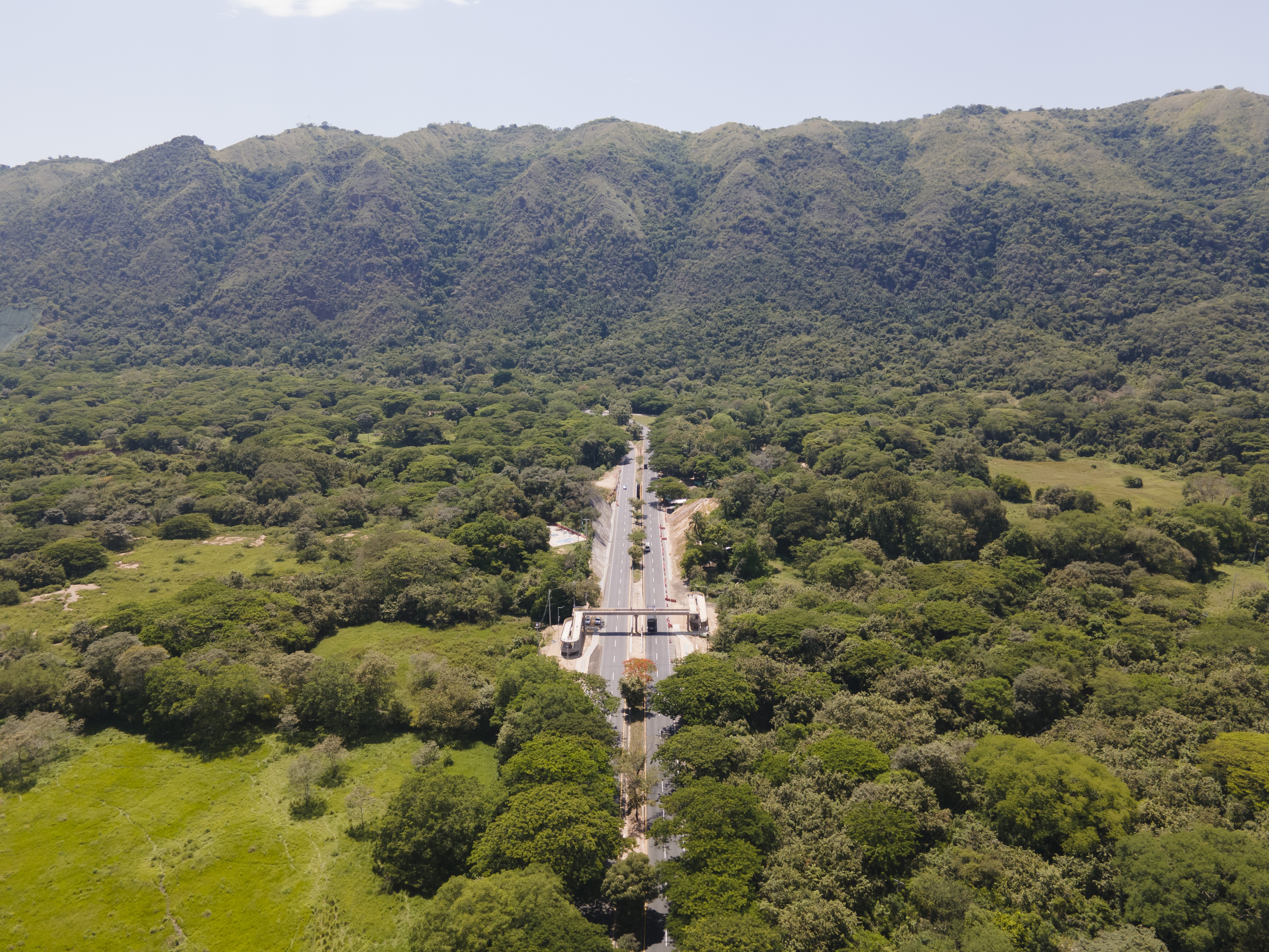 PR 13-PTE Peatonal Cobos-DJI_0049.jpg