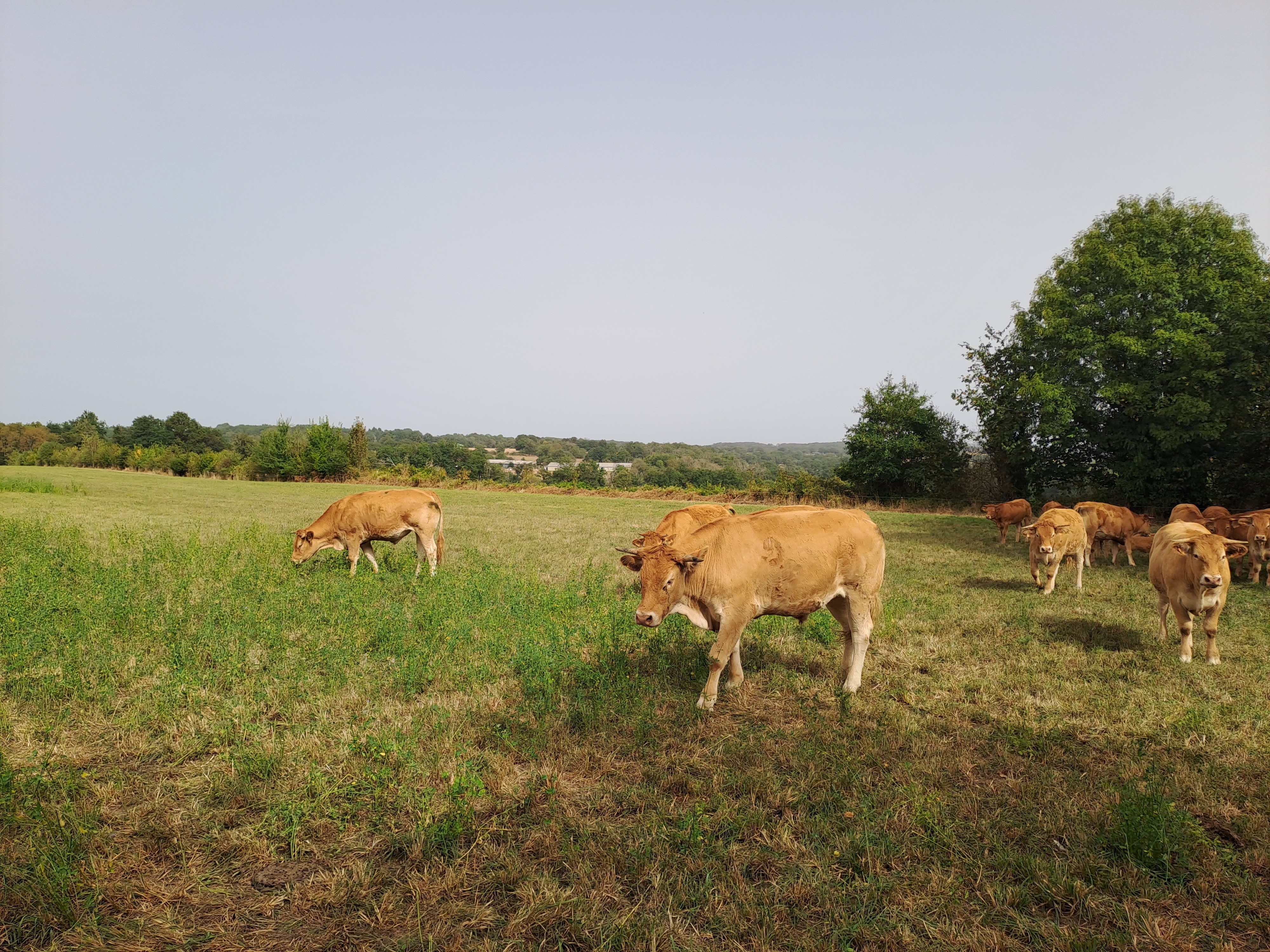 Fonds SEA pour la transition des territoires_Soutenir l’agriculture locale et durable_2023_VINCI Railways