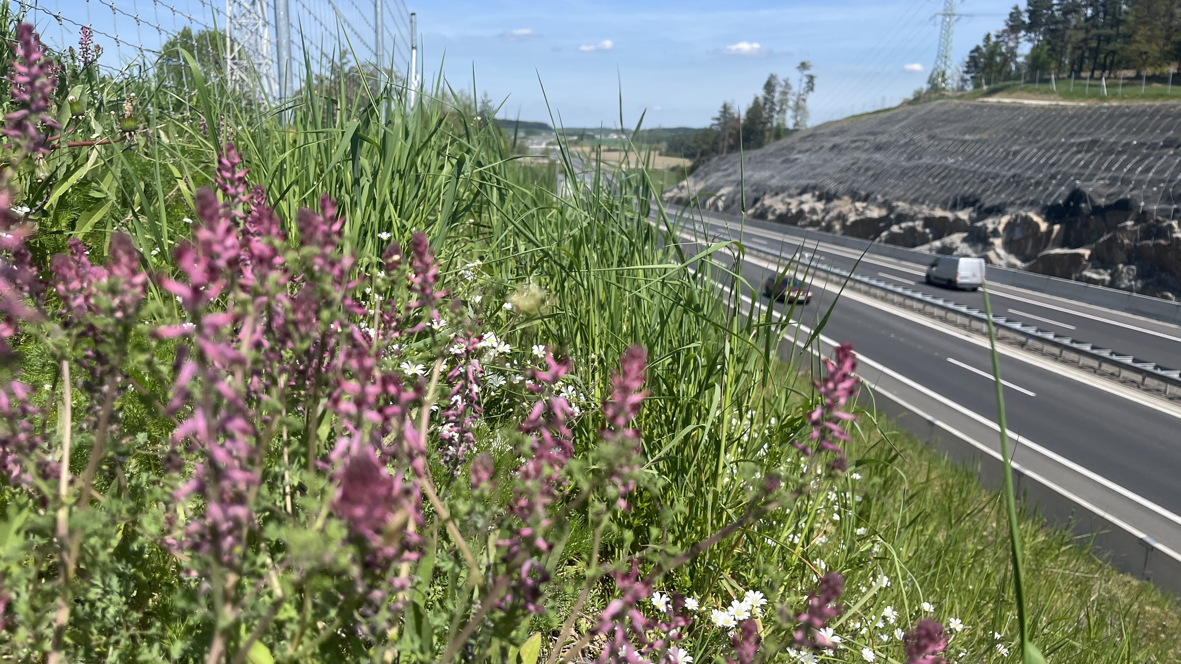 D4_Via Salis_Czech Republic_VINCI Highways
